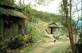 Rural poverty remains the single greatest obstacle to environmental and economic stability. Subsistence farmers continue to move ever higher onto steep, rocky mountainsides to plant corn for a few years before erosion forces them to move on. This photograph was taken onNegros Island. (c) Field Museum of Natural History - CC BY-NC 4.0